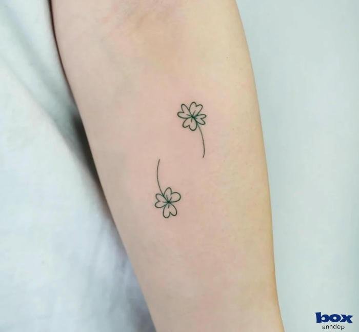 ảnh xăm cỏ may mắm