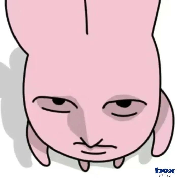 avatar bựa độc lạ