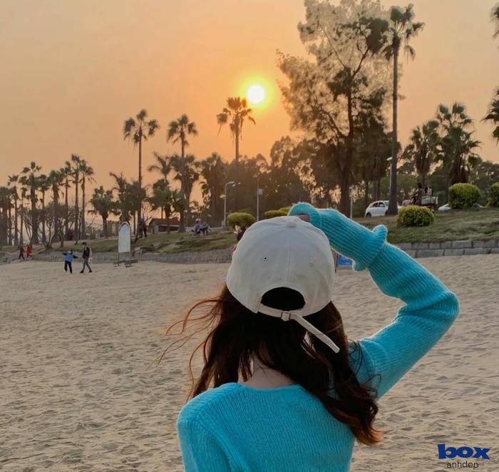 avatar chill hoàng hôn