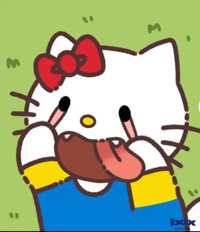 avatar hài hước lofi