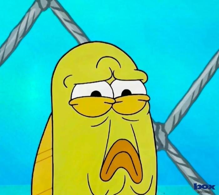 avatar meme vui nhộn