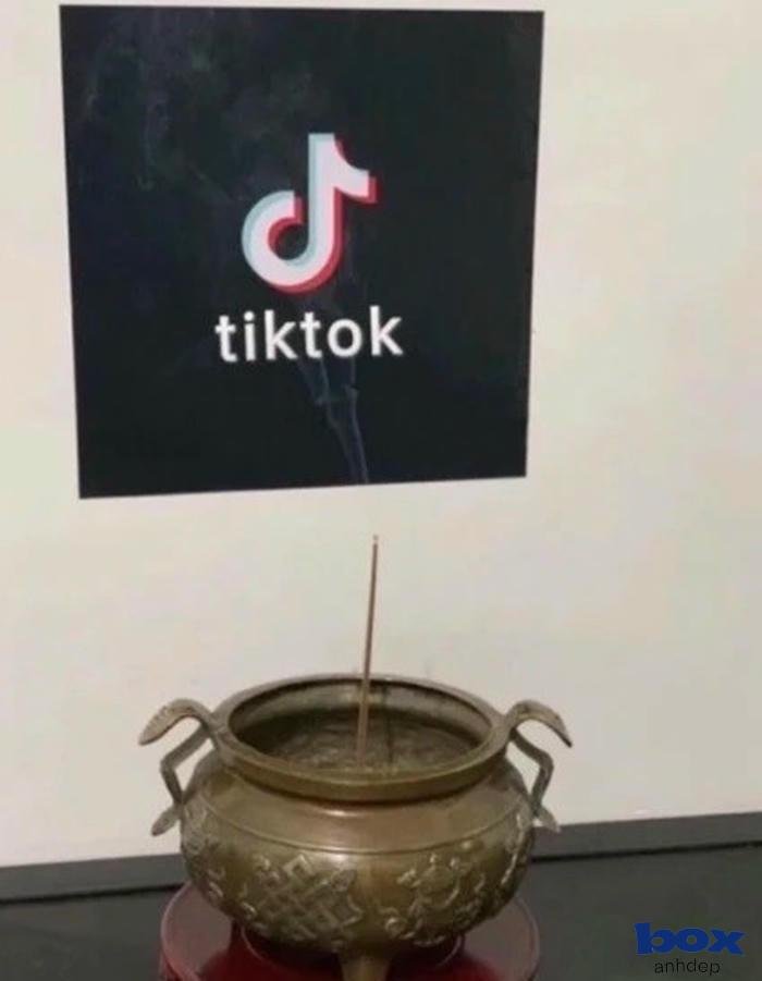 avatar tiktok dũng mãnh ấn tượng