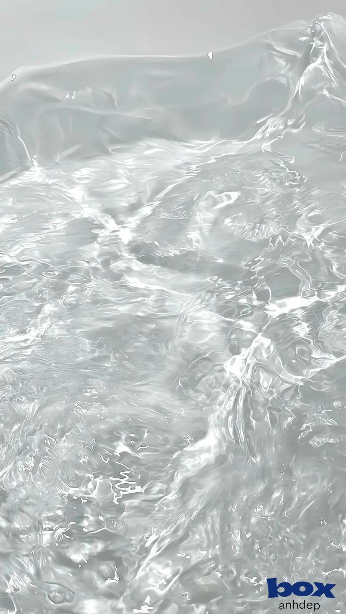 avatar trong suốt hot trend