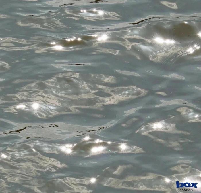 avatar trong suốt lung linh huyền bí