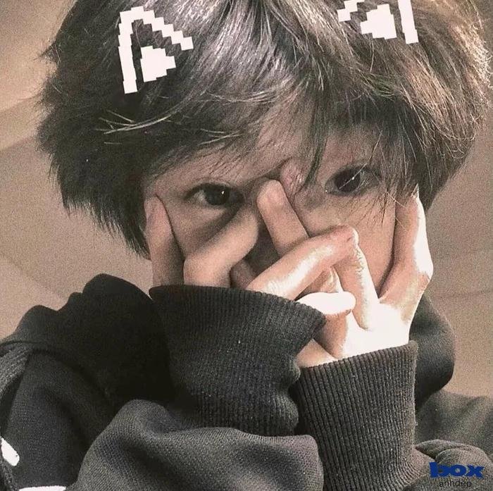 avatar zalo phong cách Hàn Quốc