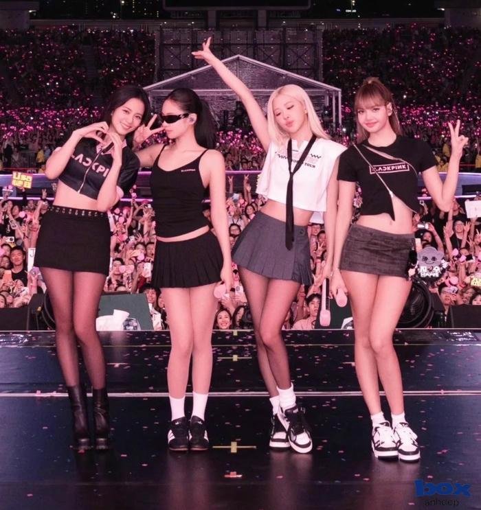 blackpink concept 4k