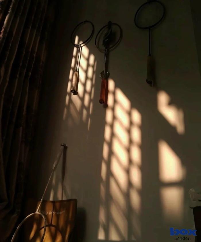 cầu lông tối giản 4k