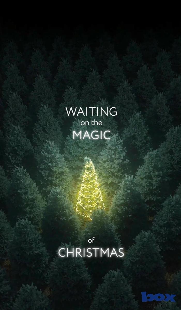 cây thông noel hd đẹp