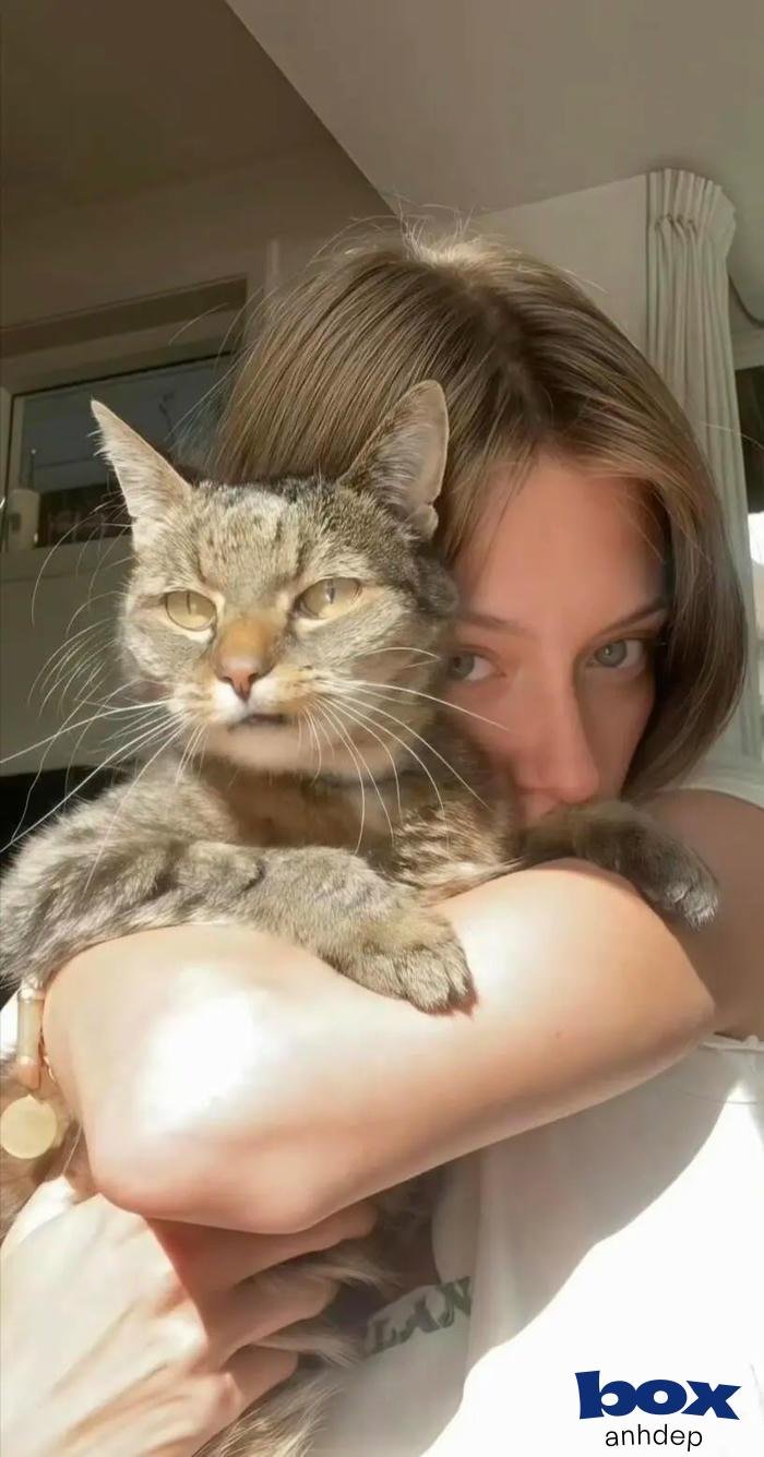 cô gái và mèo 4k