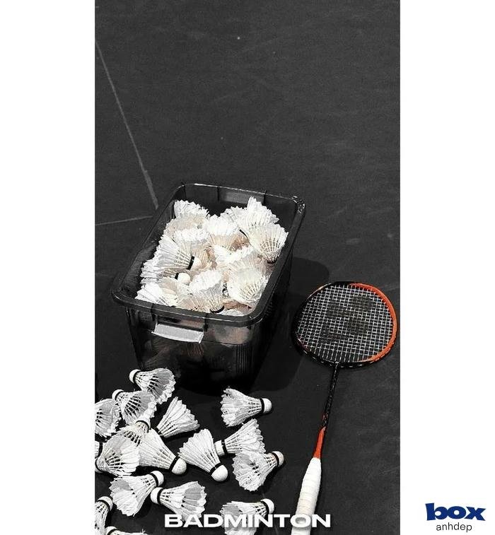 hình cầu lông 4k đẹp