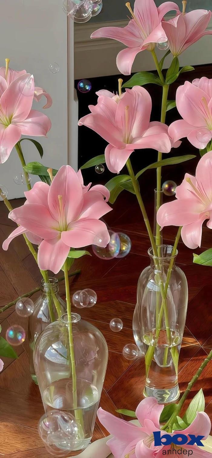 hình nền 3d chân thực như thật