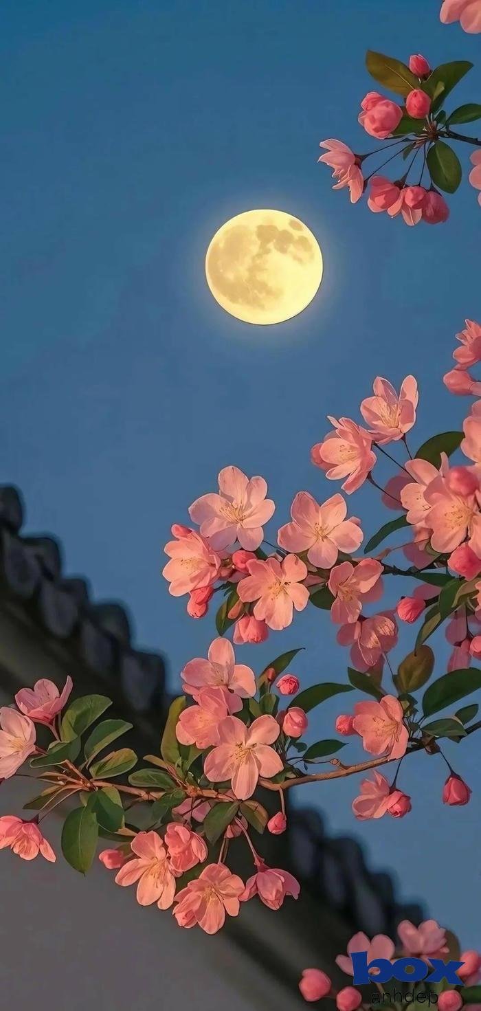 hình nền 3d đẹp mắt