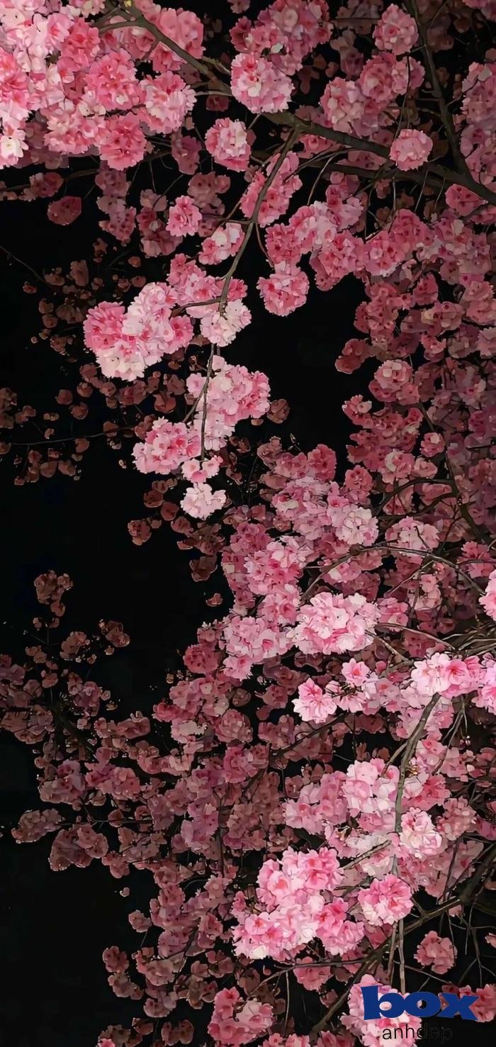 hình nền 3d độ phân giải 8k