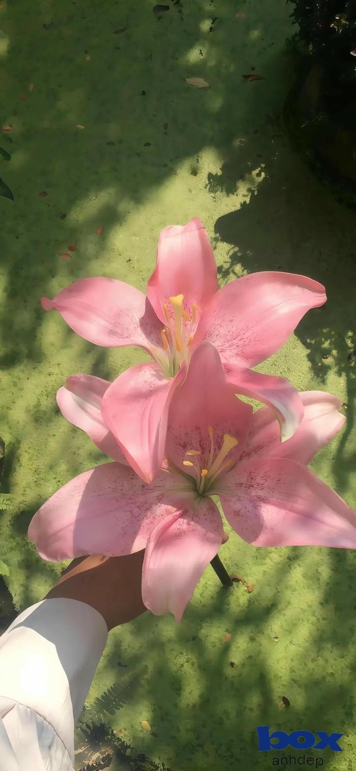 hình nền 3d góc nhìn rộng 4k