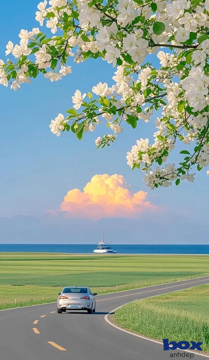 hình nền bầu trời 4k siêu nét