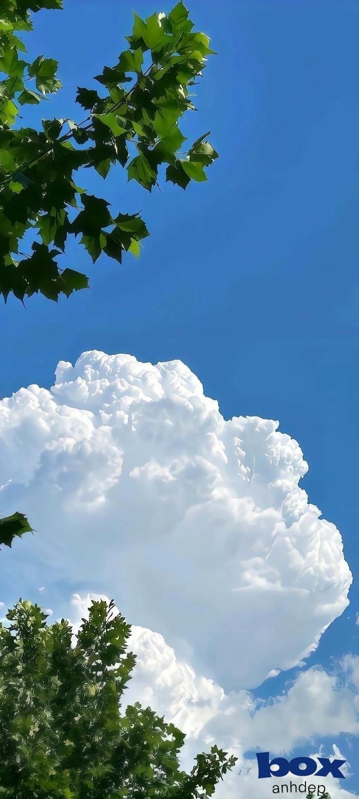 hình nền bầu trời mây trắng bồng bềnh