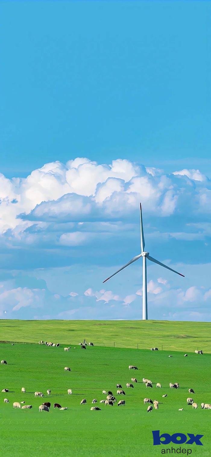 99+ Hình nền bầu trời 4k đẹp, độc đáo nhất cho điện thoại