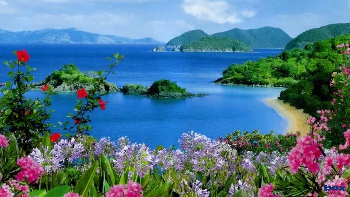 hình nền biển độ phân giải cao