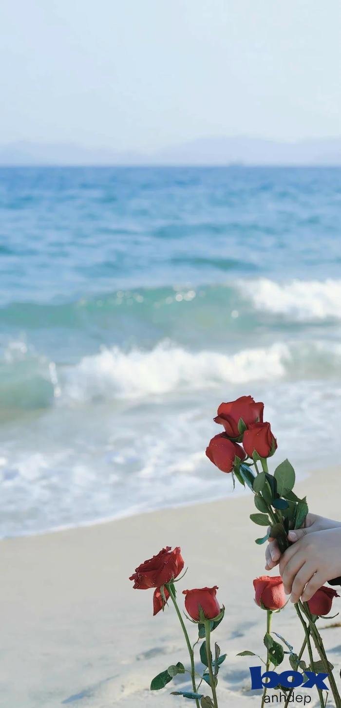 hình nền biển nền máy tính 4k