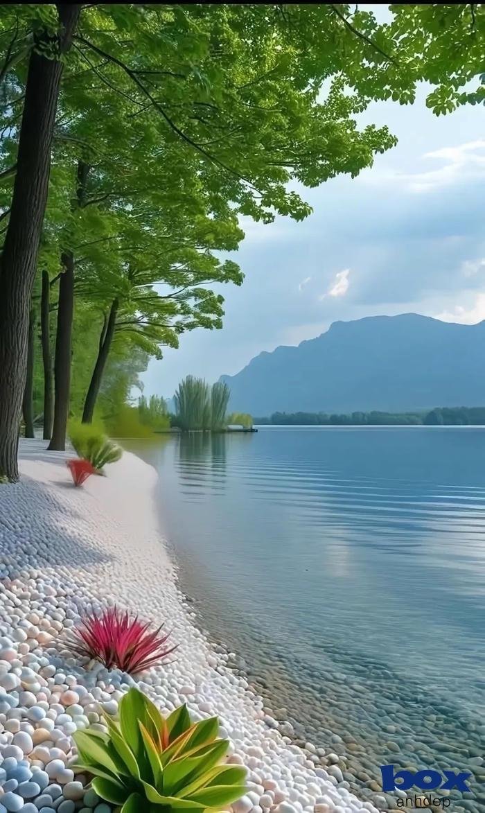 hình nền biển sống động như thật