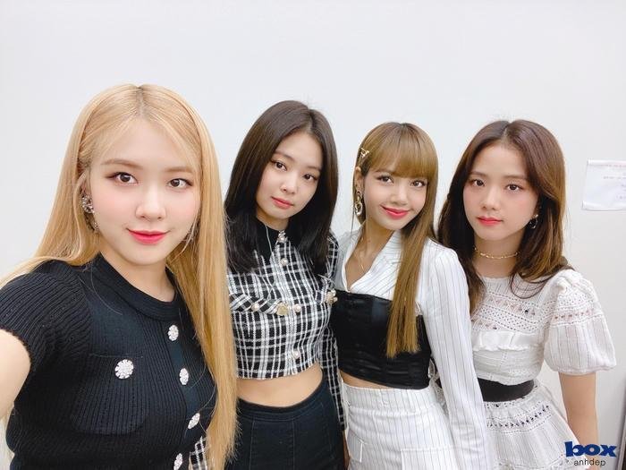 hình nền black pink cho máy tính