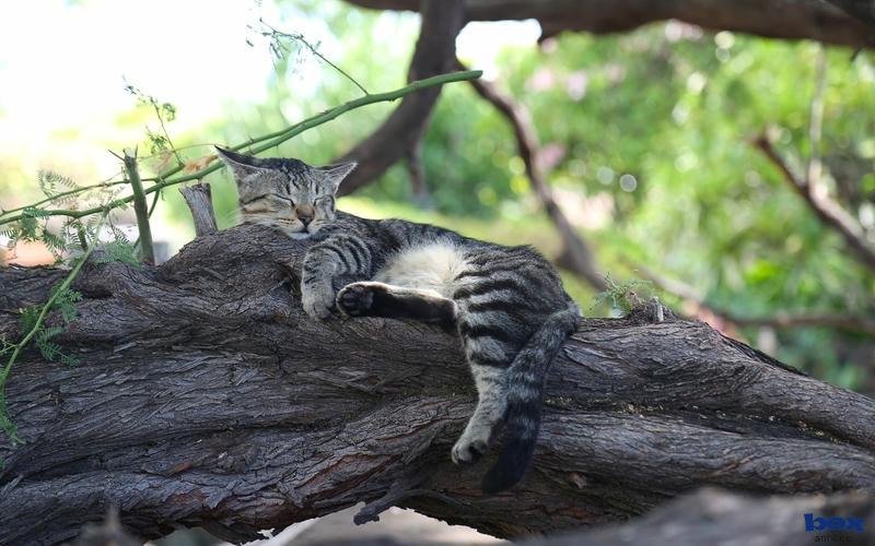 hình nền chill độ phân giải cao