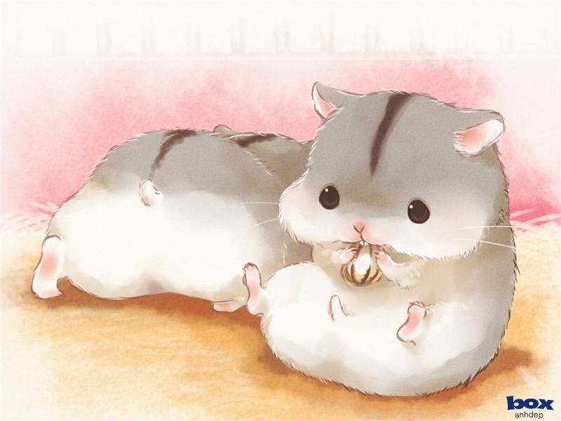 hình nền dễ thương đáng yêu