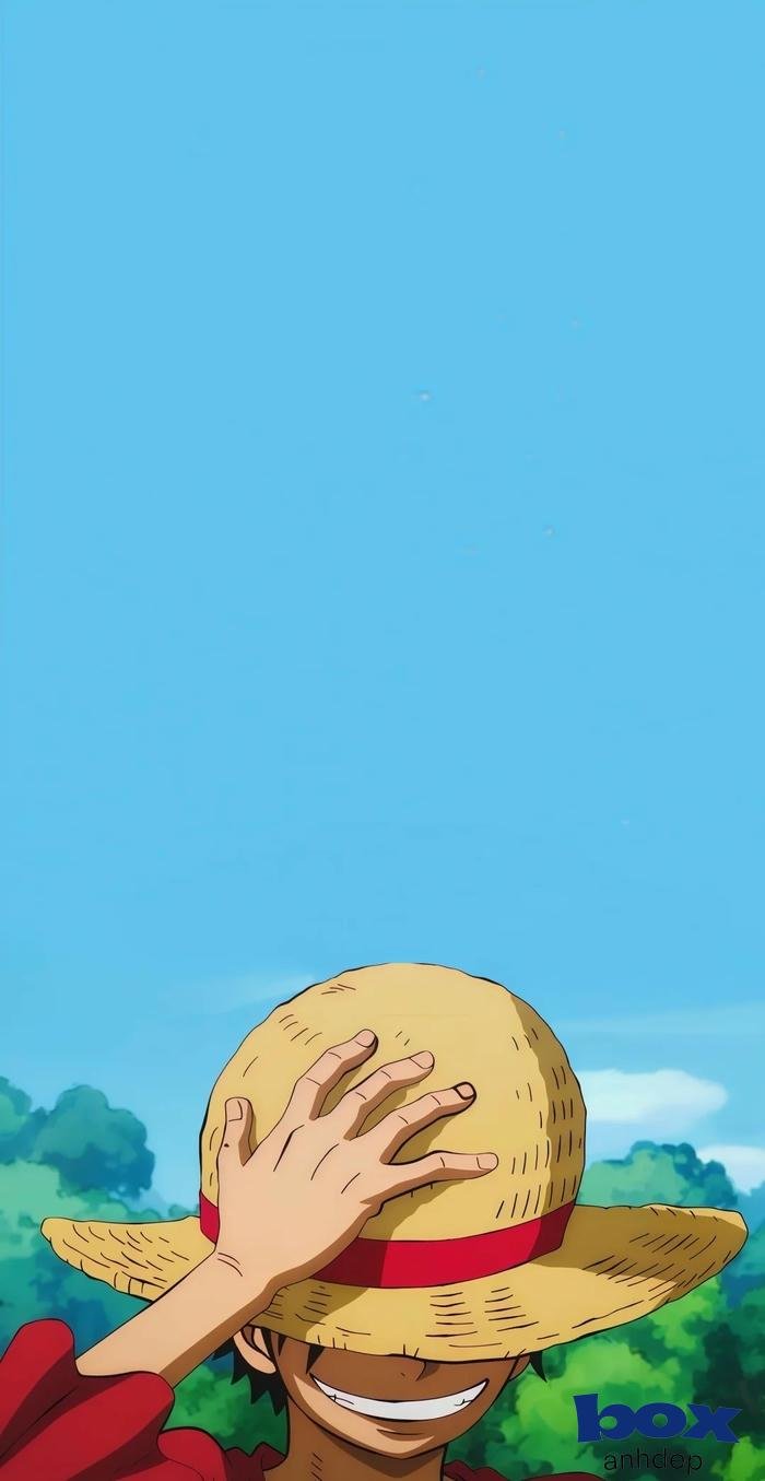 hình nền luffy đẹp