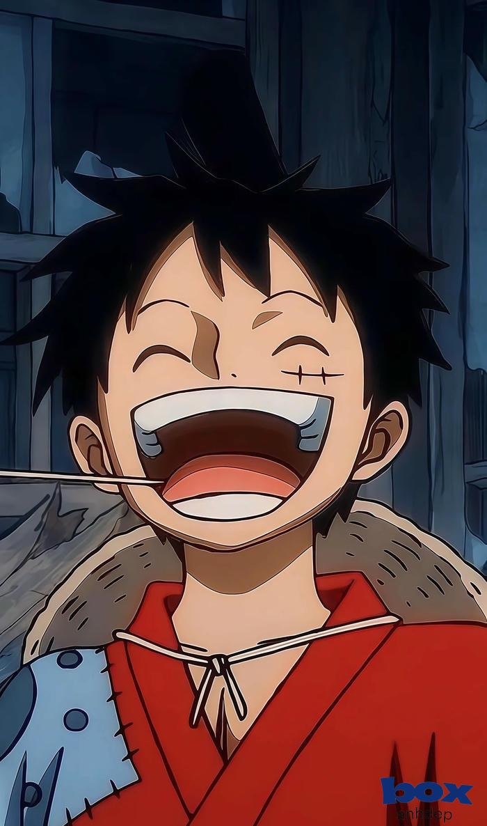 hình nền luffy