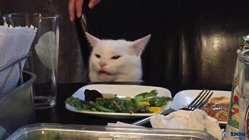 hình nền meme mới nhất