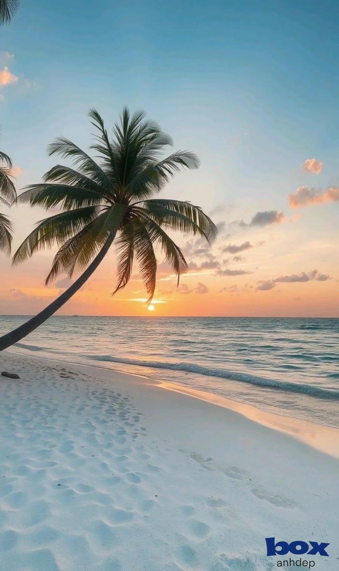 hình nền thiên nhiên bình minh rạng rỡ