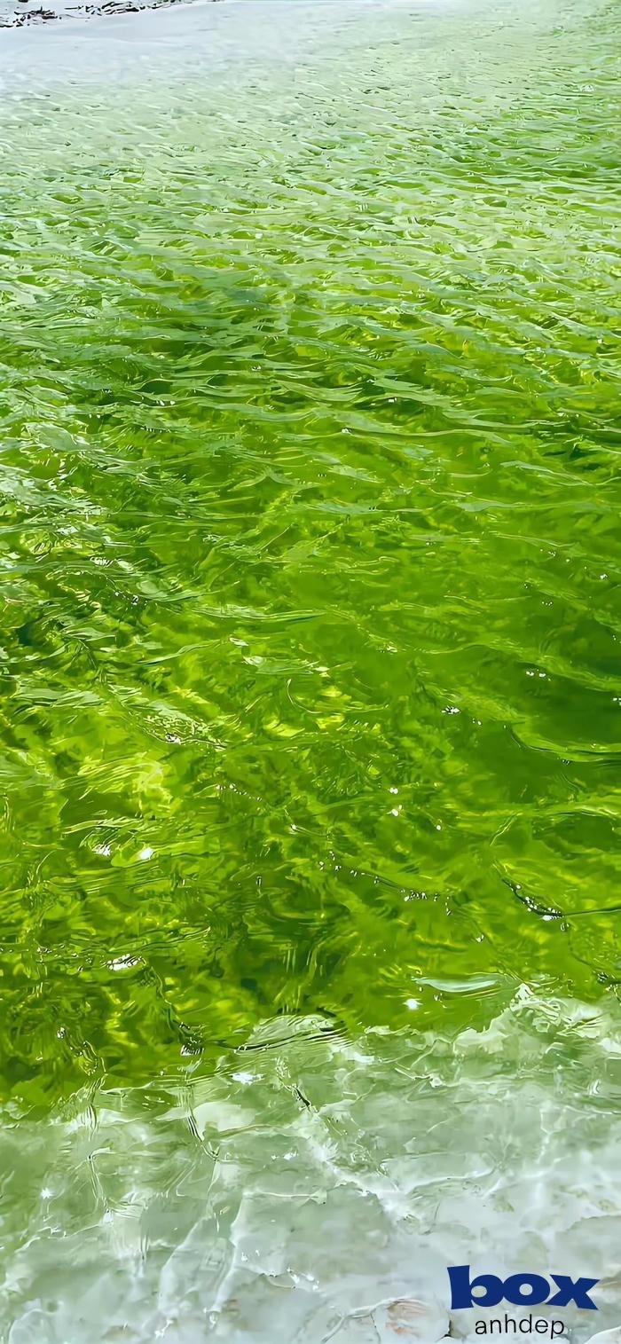 hình nền thiên nhiên đẹp hd