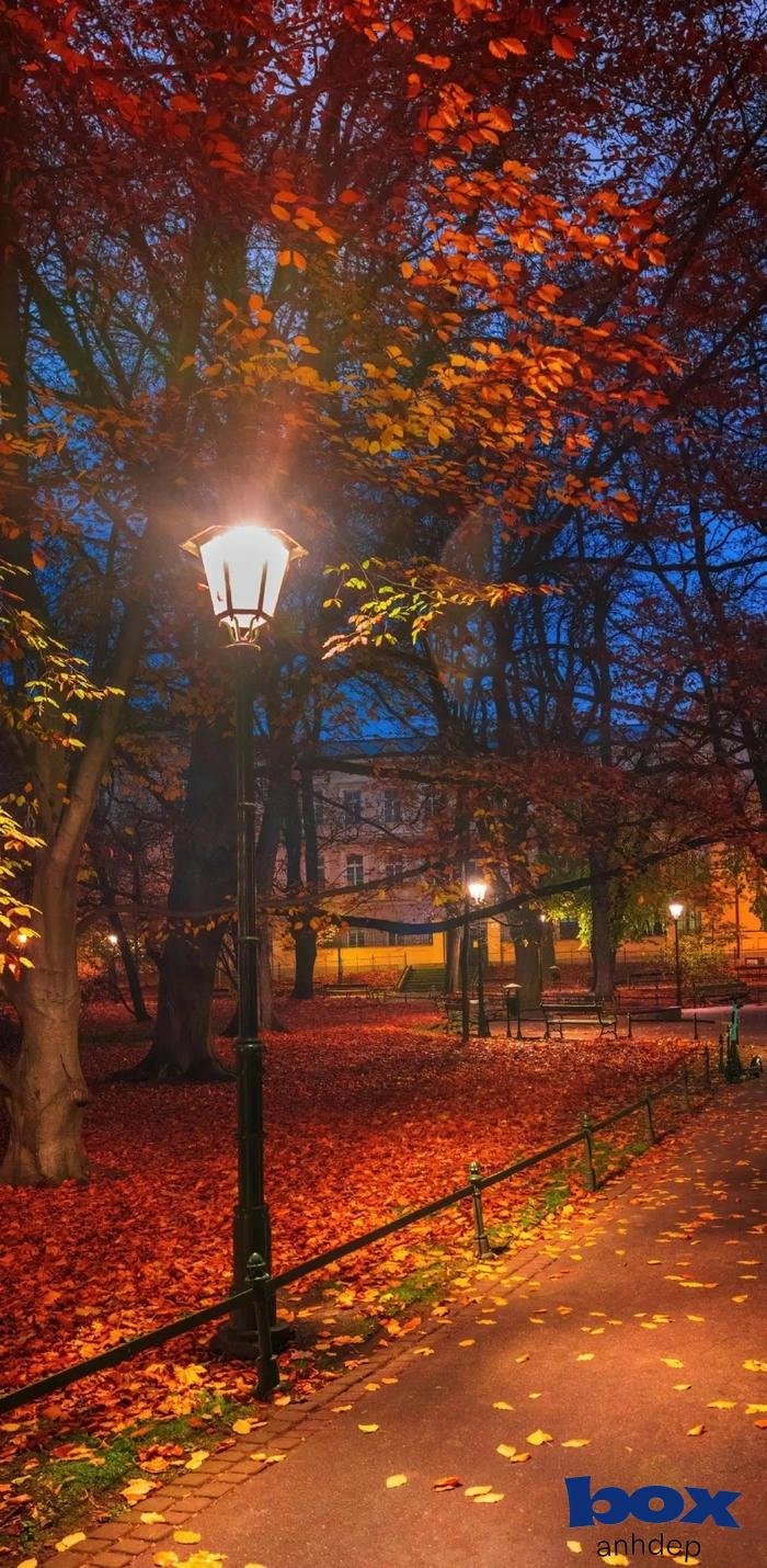 hình nền thiên nhiên đẹp hùng vĩ