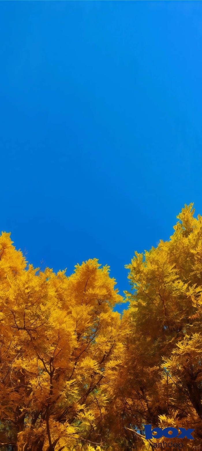 hình nền thiên nhiên full hd đẹp