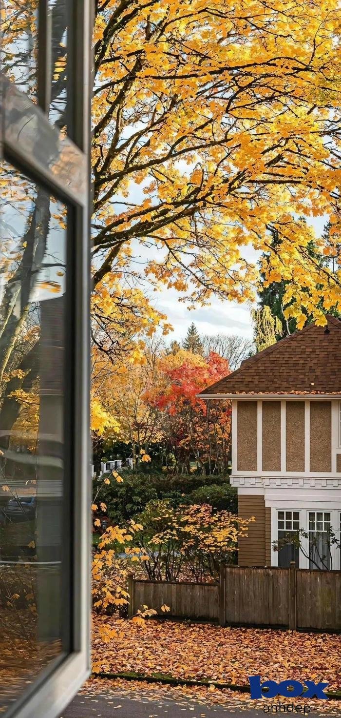 hình nền thiên nhiên hd