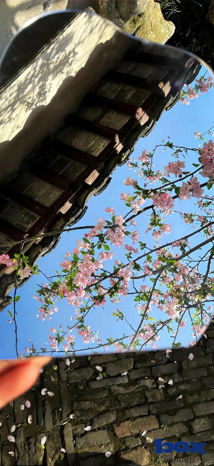 hình nền thiên nhiên nghệ thuật cực nét