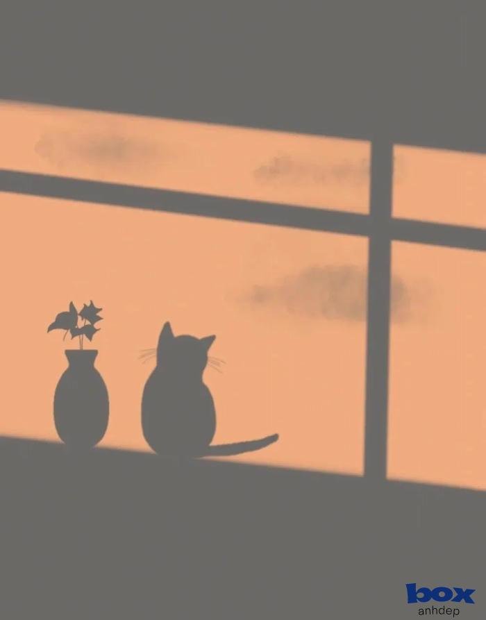 hình nền tik tok đẹp ấn tượng 4k