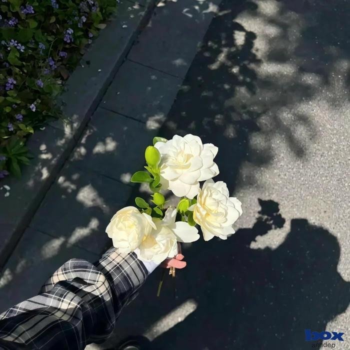 hình nền tik tok đẹp lôi cuốn 4k