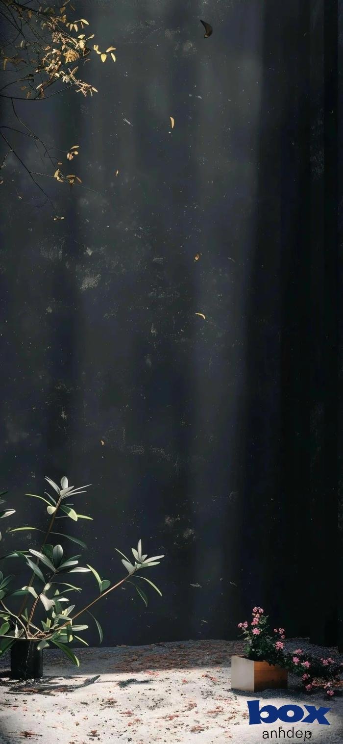 hình nền tối cực đẹp 4k