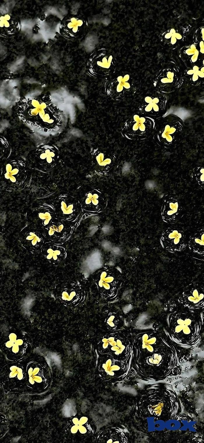 hình nền tối siêu nét full hd