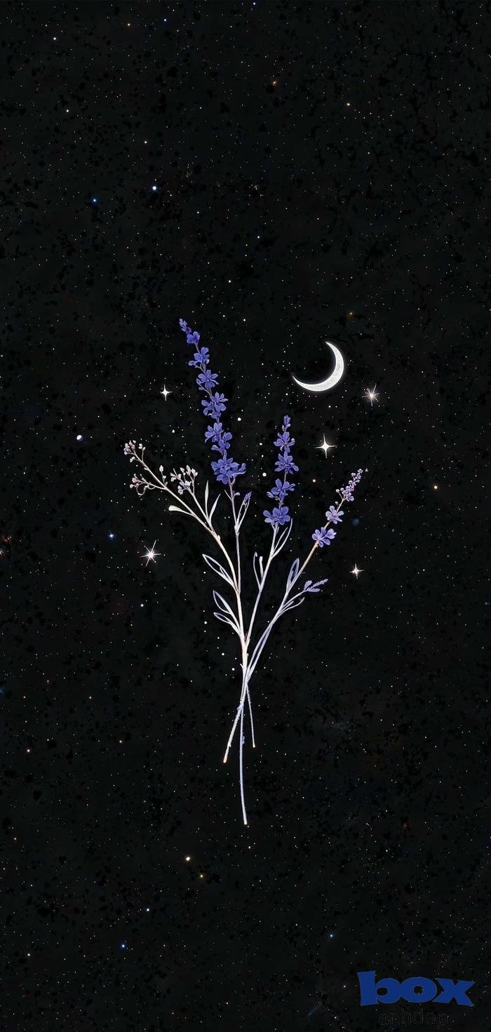 hình nền tối tuyệt đẹp 4k