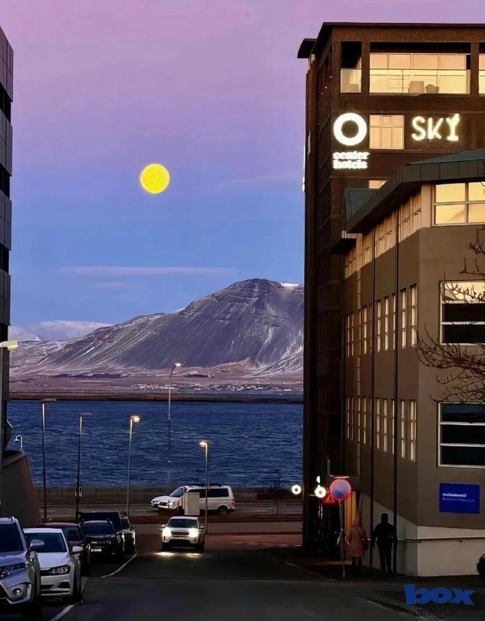 hình nền video 4k