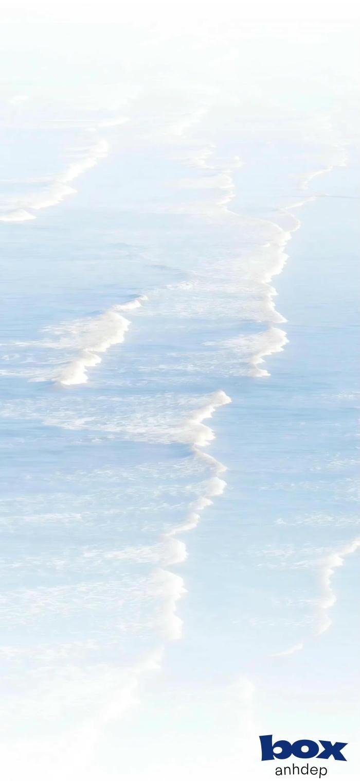 hình nền video chất lượng 4k