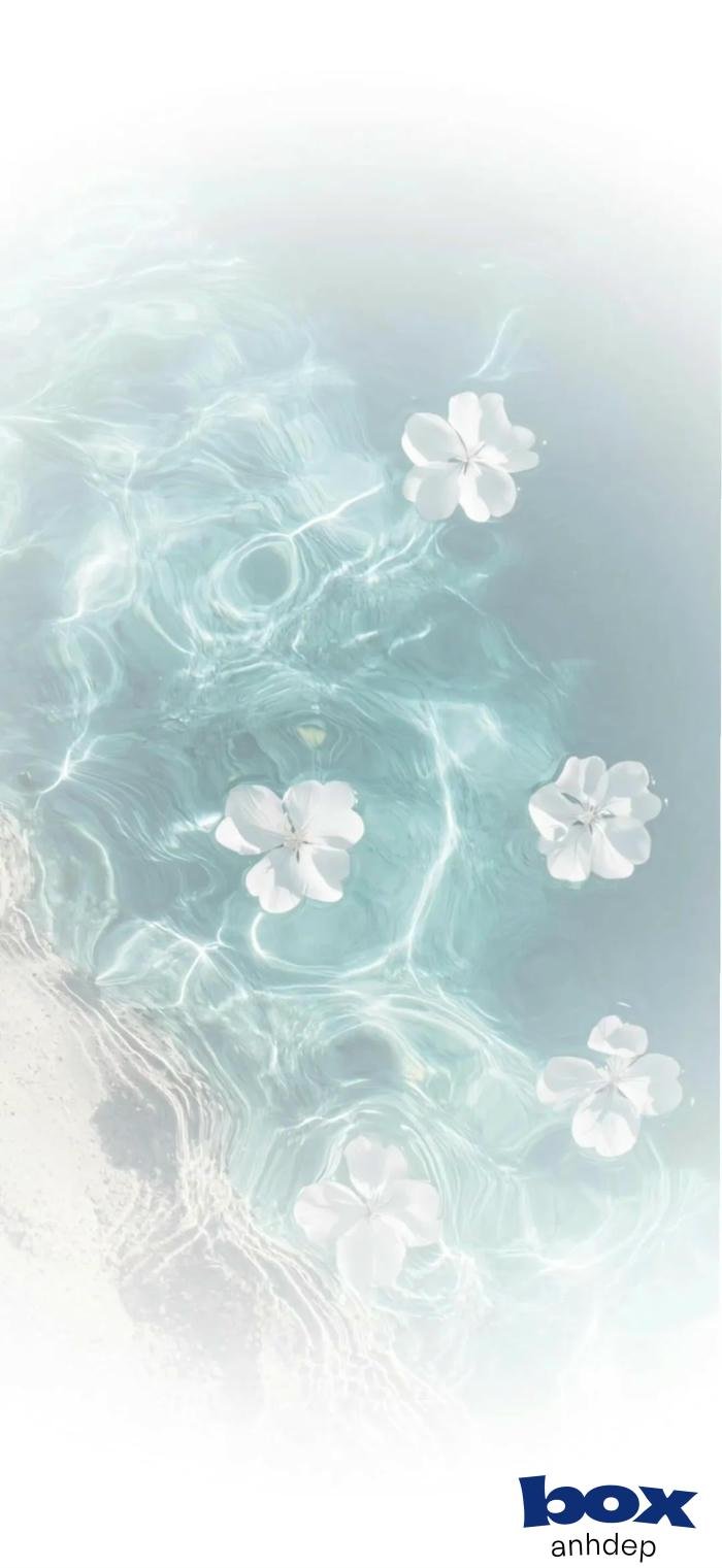 hình nền video chất lượng full hd