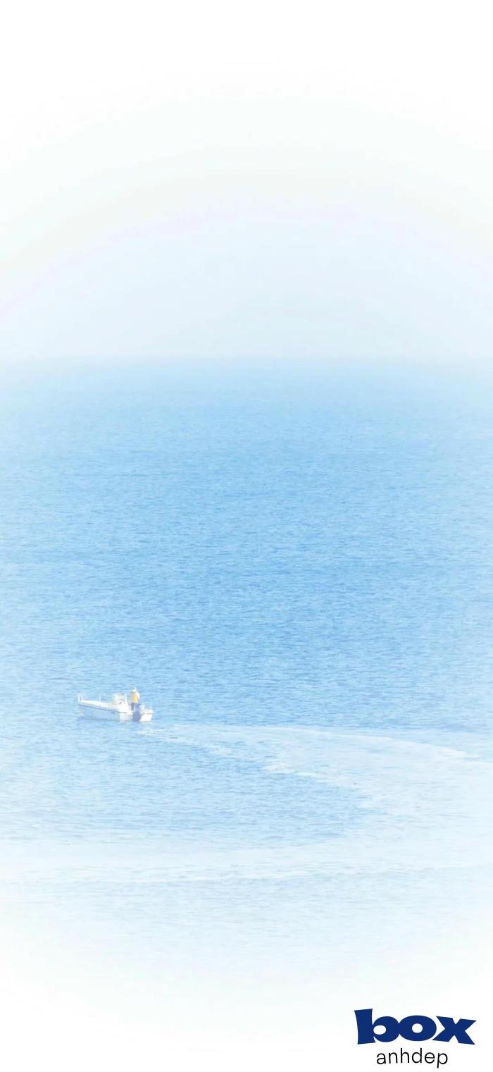 hình nền video cực đẹp 4k