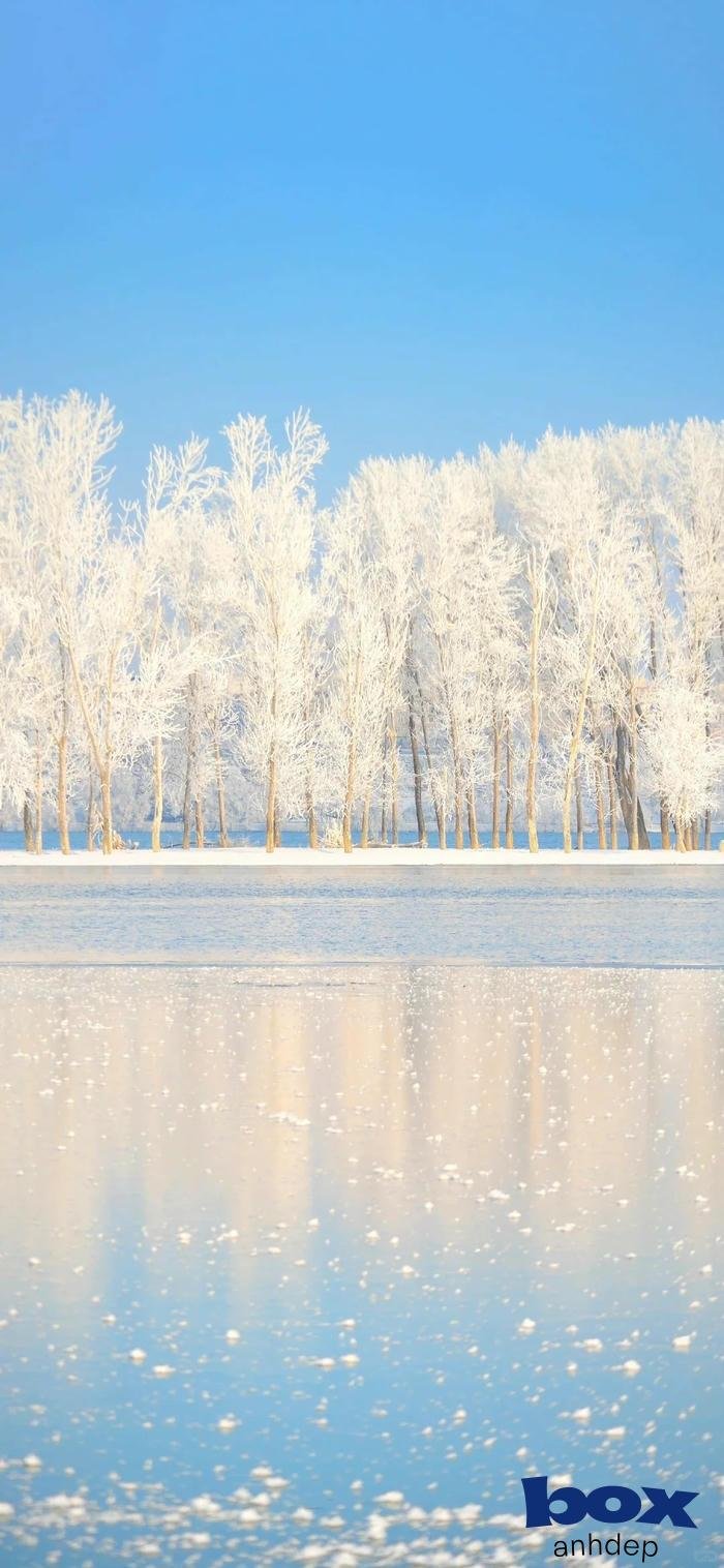 hình nền video đẹp ảo diệu full hd