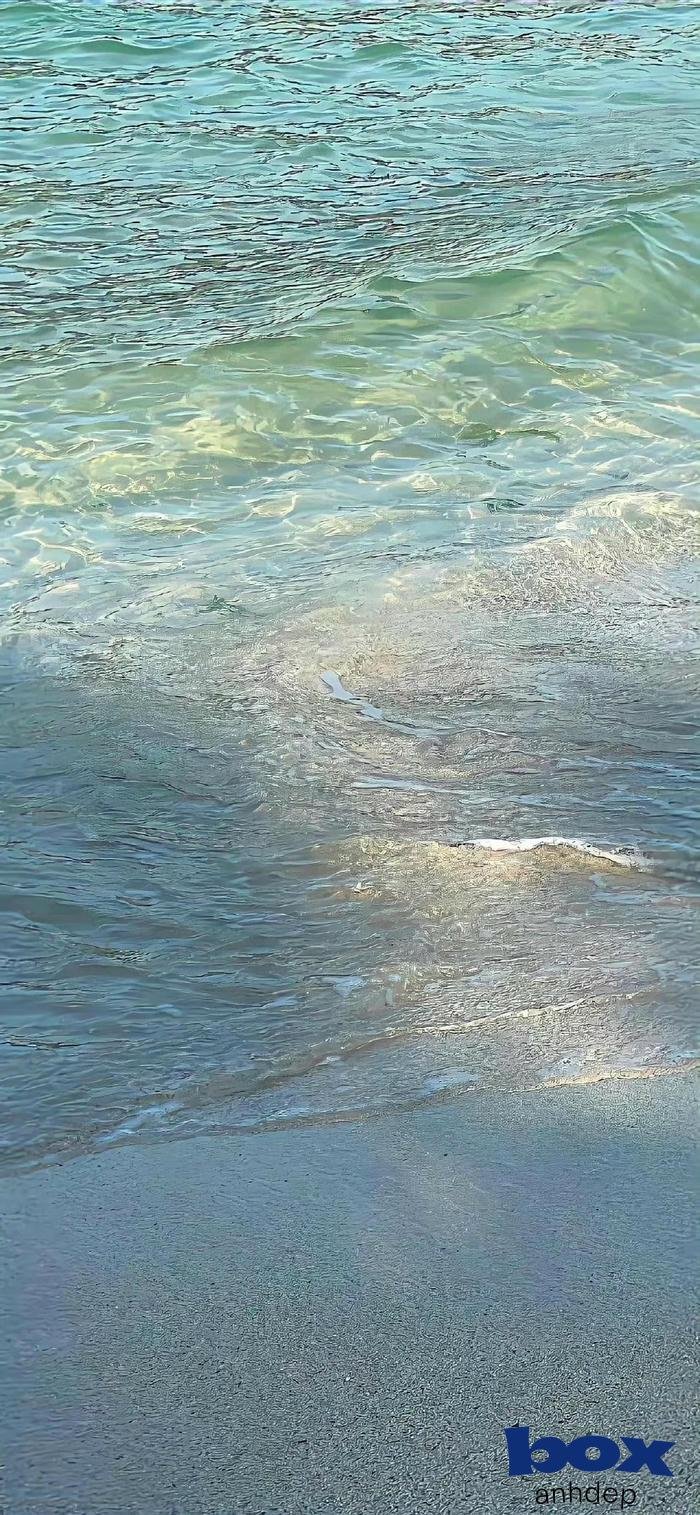 hình nền video đẹp lung linh full hd