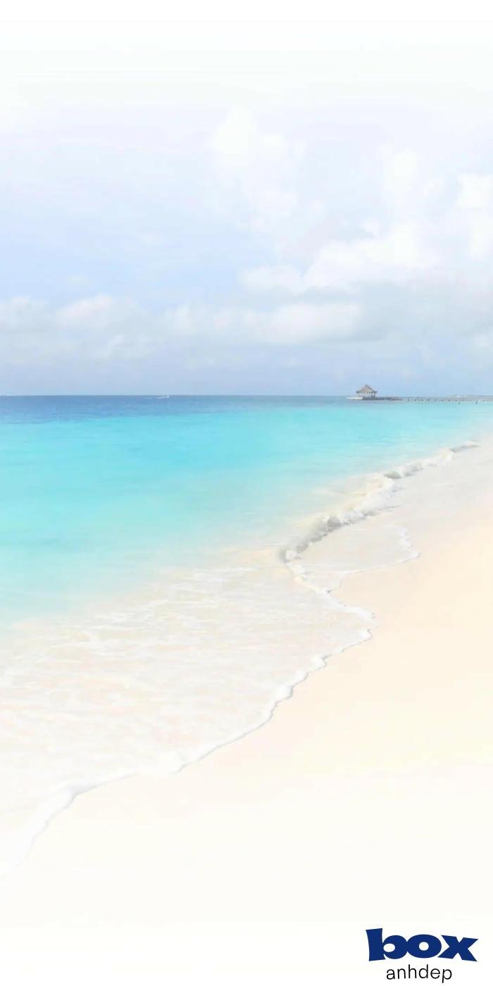 hình nền video đẹp lung linh hd