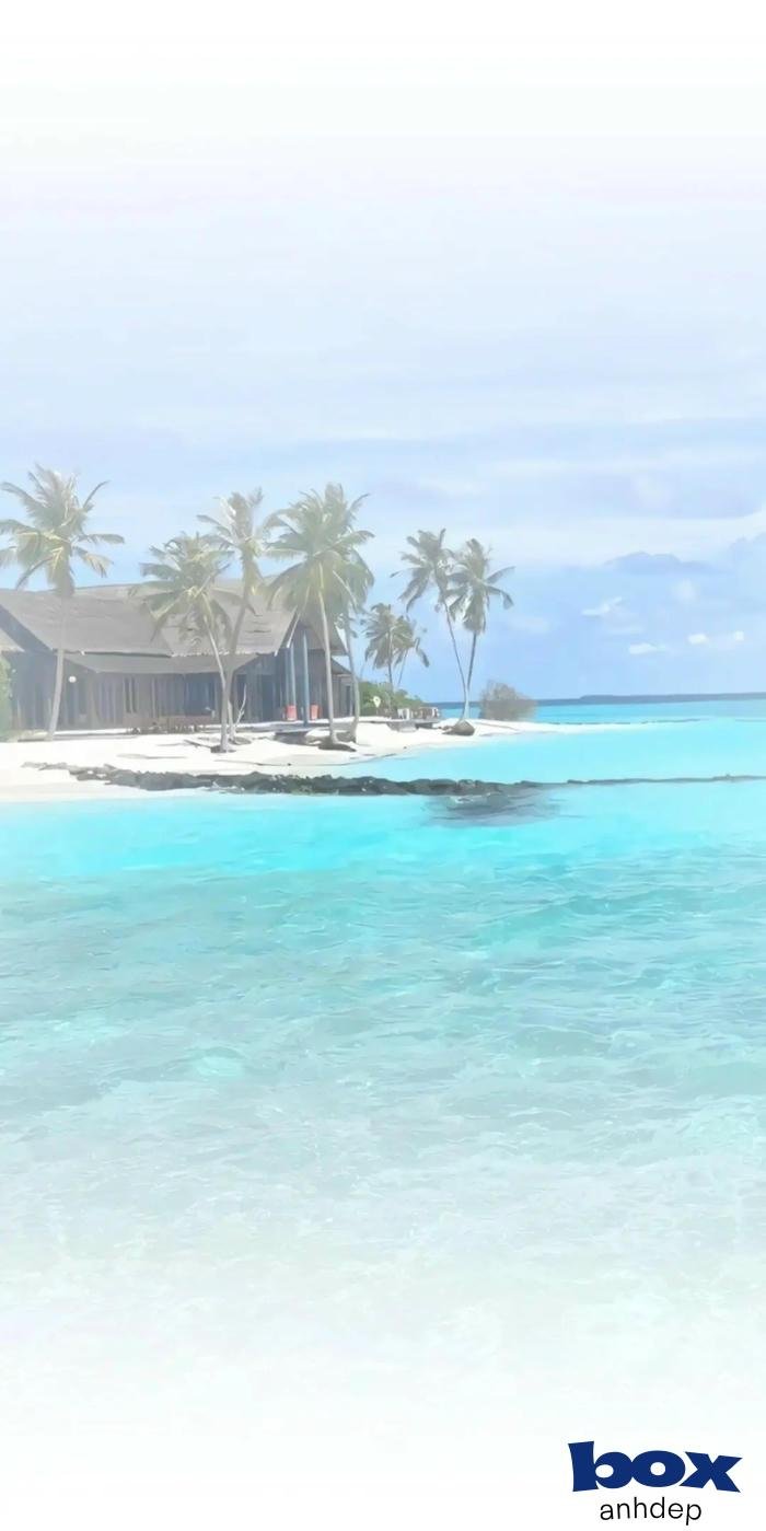 hình nền video hd siêu đẹp