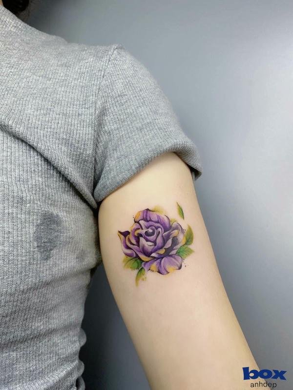 hinh xam bông hồng